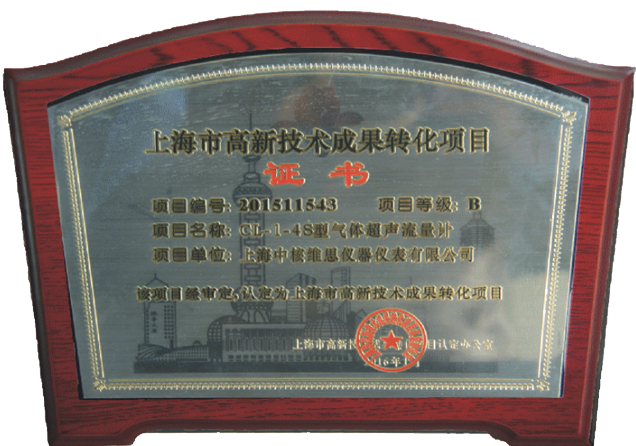 上海市高新技術成果轉化項目2.png